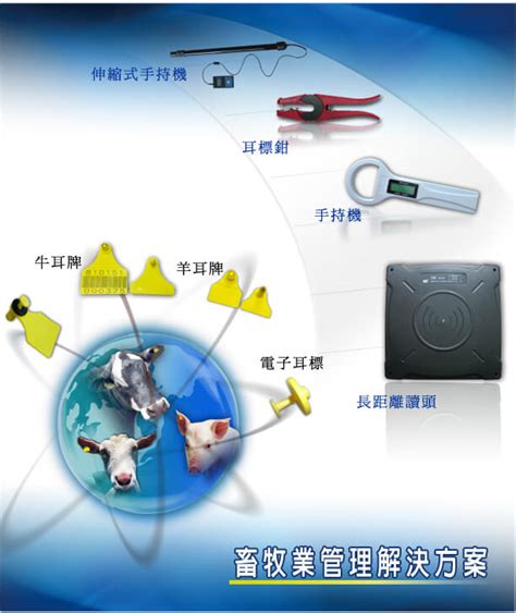 animal husbandry rfid chips|rfid for livestock management.